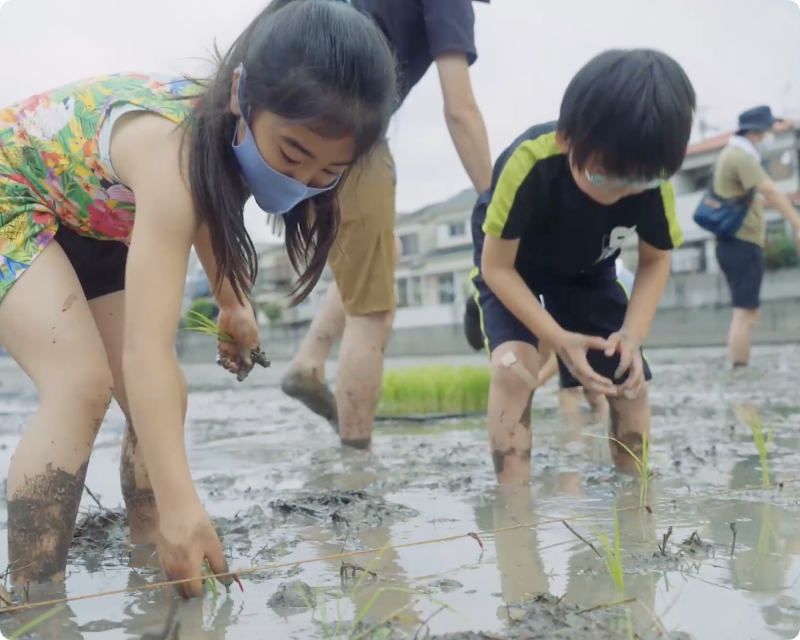 わかやま市民生協“つくる”をまなぶ