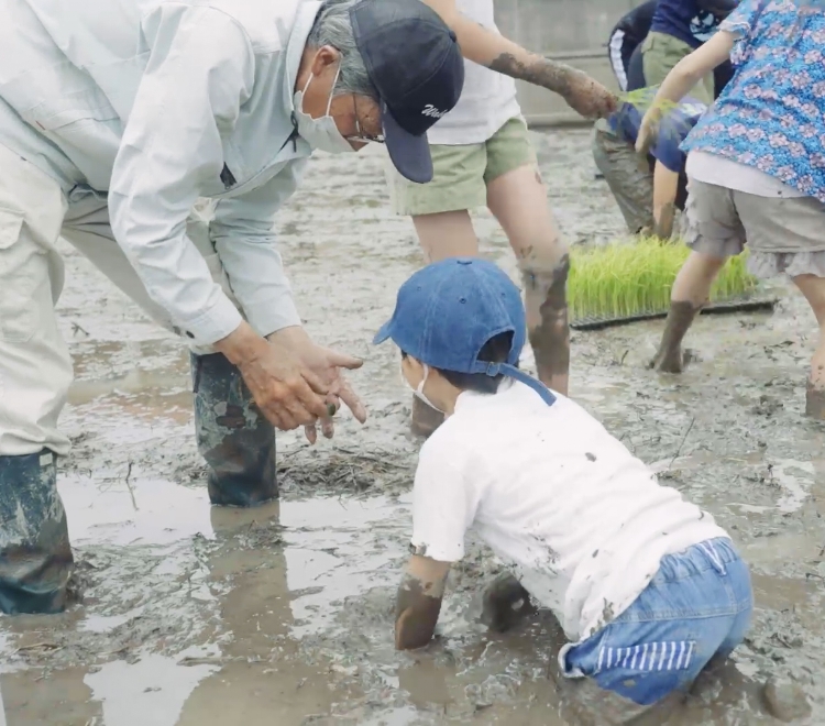 子どもと一緒にコメづくりわかやま市民生協