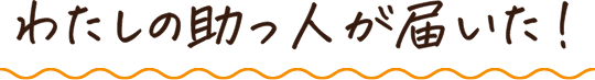 わたしの助っ人が届いた！