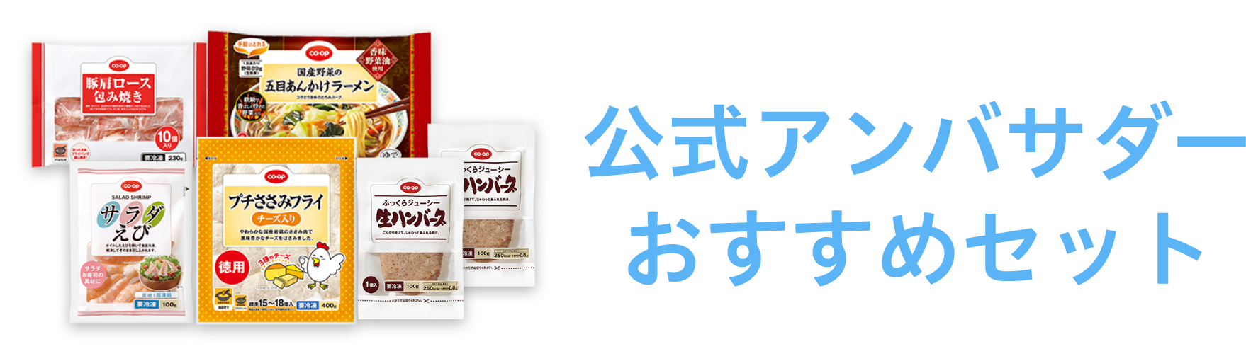 公式アンバサダーおすすめセット