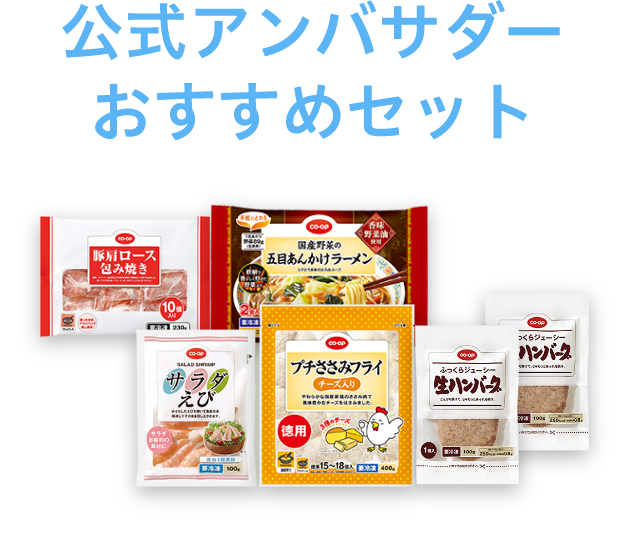 公式アンバサダーおすすめセット