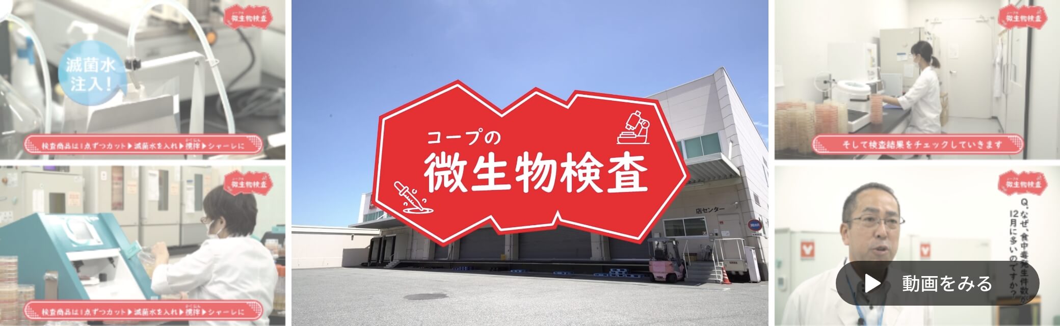 コープきんきの独自検査と基準