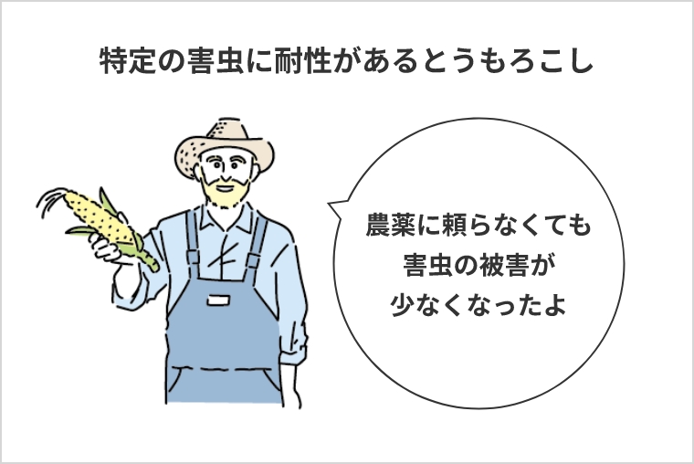 特定の害虫に耐性があるとうもろこし農薬に頼らなくても害虫の被害が少なくなったよ