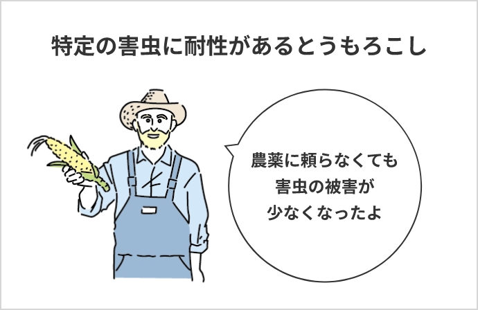 特定の害虫に耐性があるとうもろこし農薬に頼らなくても害虫の被害が少なくなったよ