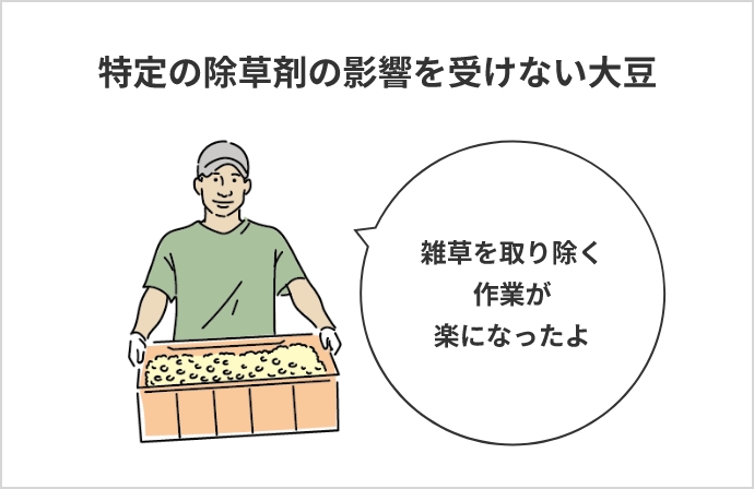 特定の除草剤の影響を受けない大豆雑草を取り除く作業が楽になったよ