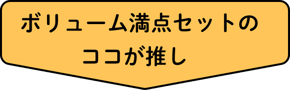 ボリューム満点セットのココが推し