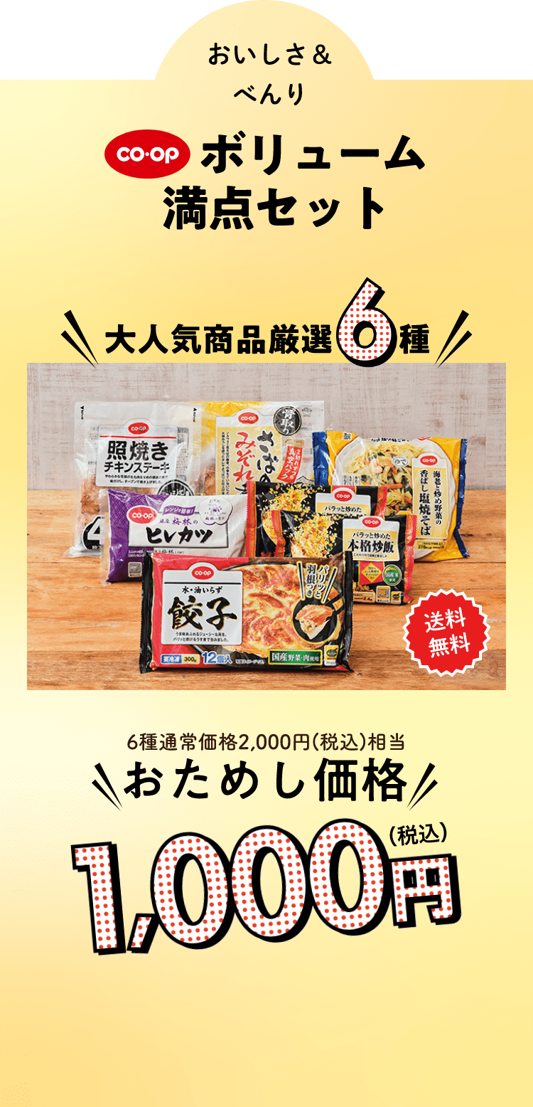 コープ ボリューム 満点セット6種通常価格2,000円(税込) 相当おためし価格 1000円 （税込） 大人気商品厳選6種 送料 無料