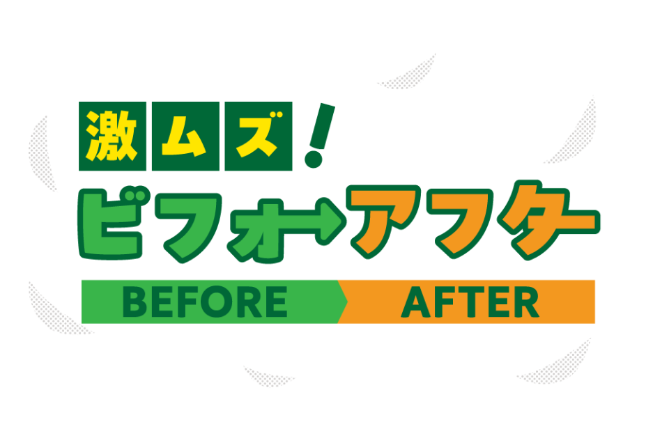 激ムズ! ビフォーアフター BEFORE AFTER