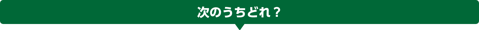 次のうちどれ？