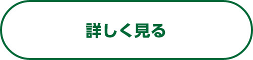 詳しく見る