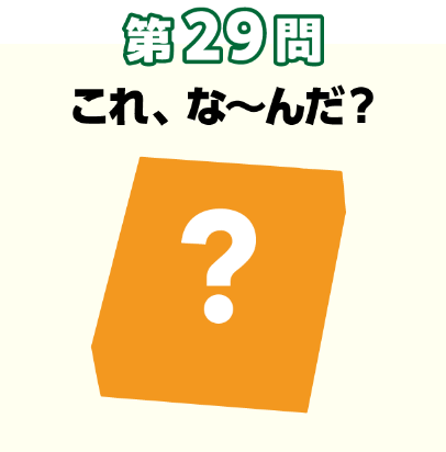 第29問：そんなのアリ？このシルエットな～んだ