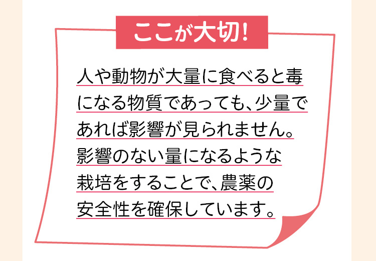 ここが大切!　人や動物が大量に食べると毒になる物質であっても、少量であれば影響が見られません。影響のない量になるような栽培をすることで、農薬の安全性を確保しています。