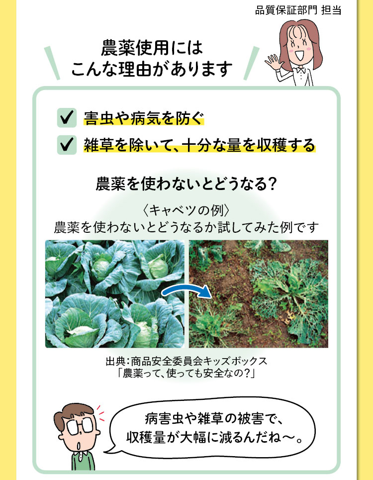 品質保証部門 担当　農薬使用にはこんな理由があります　・害虫や病気を防ぐ　・雑草を除いて、十分な量を収穫する　農薬を使わないとどうなる？〈キャベツの例〉農薬を使わないとどうなるか試してみた例です　出典：商品安全委員会キッズボックス「農薬って、使っても安全なの？」　病害虫や雑草の被害で、収穫量が大幅に減るんだね～。