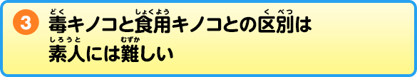 ③毒キノコと食用キノコとの区別は素人には難しい