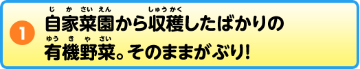 ①自家菜園から収穫したばかりの有機野菜。そのままがぶり！
