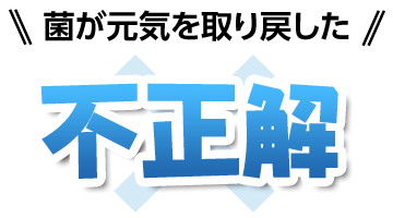 不正解_菌が元気を取り戻した