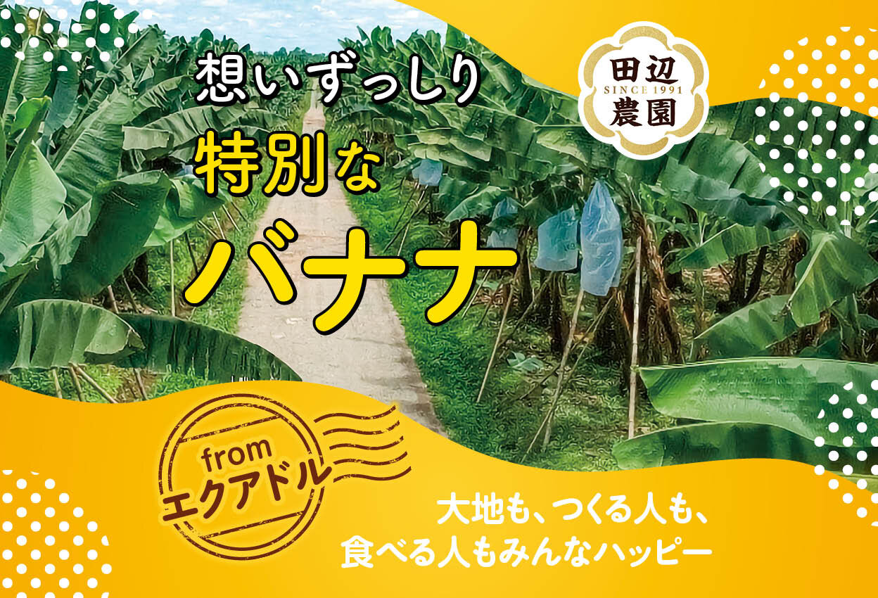 想いずっしり、特別なバナナ「田辺農園バナナ」