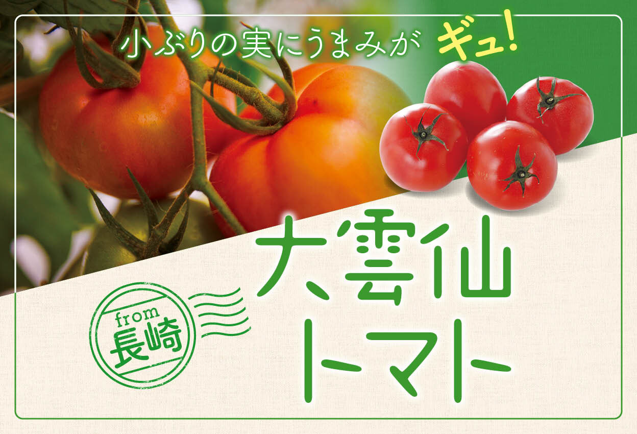 大雲仙トマト