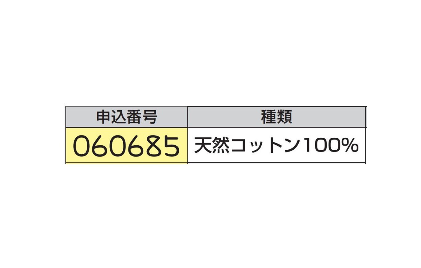 画像編集_イメージ画像作成用_テンプレート　（ロリエ改善前）.jpg