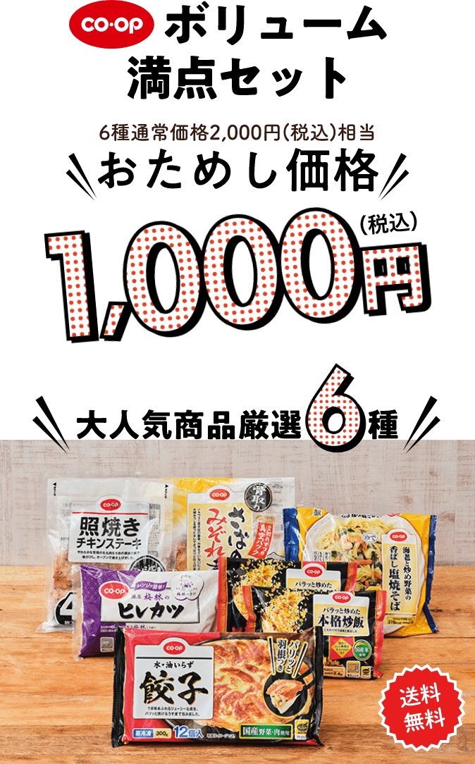 コープ ボリューム 満点セット6種通常価格2,000円(税込) 相当おためし価格 1000円 （税込） 大人気商品厳選6種 送料 無料